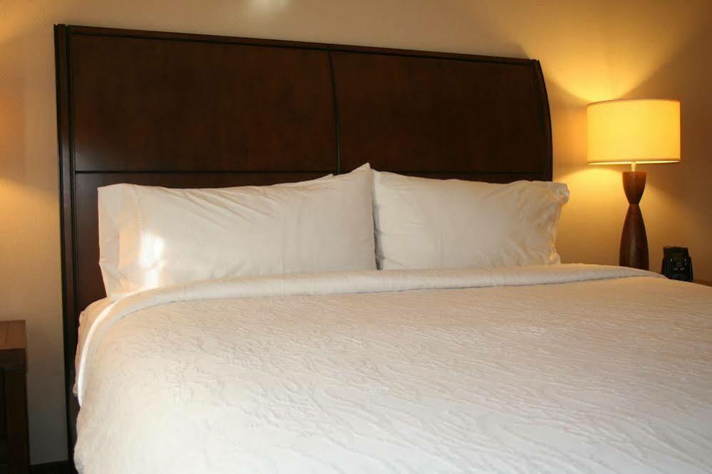 Hilton Garden Inn Charlotte/קונקורד מראה חיצוני תמונה